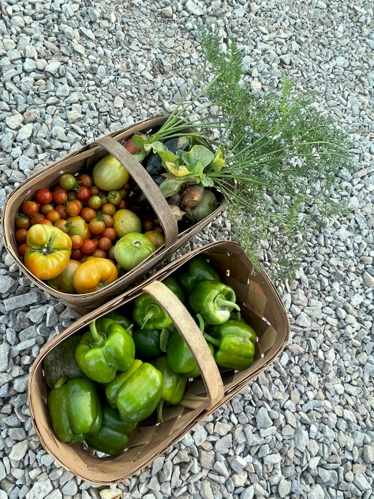 Two baskets filled with an assortment of freshly harvested vegetables, including tomatoes, bell peppers, and carrots, resting on gravel.